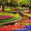 KEUKENHOF, Amsterdan, El Jardín de Tulipanes más hermoso del mundo. The most beautiful Tulip Garden in the world.
