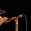 Into the Mystic (Live). Van Morrison